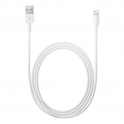 Apple Lightning to USB Cable 0.5m. - оригинален USB кабел за iPhone, iPad и iPod (0.5м.) (retail опаковка) 2