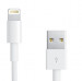 Apple Lightning to USB Cable 0.5m. - оригинален USB кабел за iPhone, iPad и iPod (0.5м.) (retail опаковка) 1