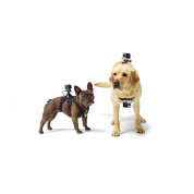GoPro Fetch Dog Harness - колан за куче Fetch за камери GoPro 1