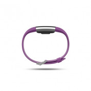 Fitbit Charge 2 Plum Silver - Large Size Wireless Activity and Sleep for iOS and Android 2