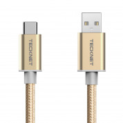 TeckNet TA502-Black 1M Nylon Braided 3.1 USB-A to USB-C Cable (gold)