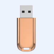 Devia Magic Fingerprint Encryption USB Flash Drive 32GB - USB флаш памет с пръстов отпечатък 32GB (златист) 2