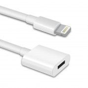 TechMatte Apple Pencil Charging Adapter for iPad Pro (30см.) - кабел (USB към женски Lightning) за зареждане на Apple Pencil от iPad Pro (бял) 2