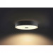 Philips Fair Hue Ceiling Lamp - комплект таванна лампа с бяла светлина и ключ за димиране за безжично управляемо осветление за iOS и Android устройства (черен) 4