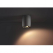 Philips Pillar Hue Single Spot And Dimmer Switch - комплект таванна лампа с бяла светлина и ключ за димиране за безжично управляемо осветление за iOS и Android устройства (черен) 4