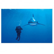 National Geographic by Clementoni 39303 Whitetip Shark Puzzle 1000 pcs. - пъзел съставен от 1000 части 1