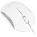 Macally USB Optical Mouse - USB оптична мишка за PC и Mac (бял) 5