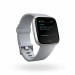 Fitbit Versa (NFC) - умен фитнес часовник с известия и следене на дневната и нощна активност на организма за iOS, Android и Windows Phone (сив-сребрист) 7