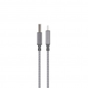 Moshi Integra USB-C Charge and Sync Cable (25cm) (grey) 1