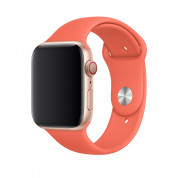 Apple Sport Band S/M & M/L - оригинална силиконова каишка за Apple Watch 42мм, 44мм (светлооранжев) (retail) 1