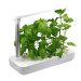 Platinet Vegebox Smart Garden 9 Planting Vacancy 21W  - уред за отглеждане на растения с LED лампа (бял) 4