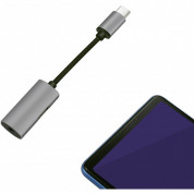 Platinet Multimedia Adapter USB-C to USB-C and 3.5mm - пасивен адаптер USB-C към USB-C и 3.5 мм. аудио жак (сребрист) 2