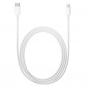 Apple iPhone 11 Retail Pro Box Accessory Kit - lightning cable, earpods with lighitng and 18W Power adapter 10