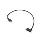 Heckler Redpark Gigabit + PoE Adapter for iPad - Gigabit Ethernet адаптер с Lightning конектор за iPad (черен) 2