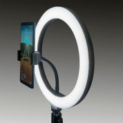 4smarts Selfie Tripod LED LoomiPod Mini - универсален трипод с LED светлина за смартфони (35 см) (черен) 1