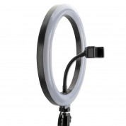 4smarts Selfie Tripod LED LoomiPod Mini - универсален трипод с LED светлина за смартфони (35 см) (черен) 2