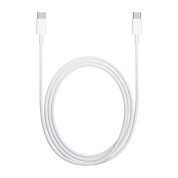 Apple USB-C Charge Cable - оригинален захранващ кабел за MacBook, iPad Pro и устройства с USB-C (200 см) (bulk)