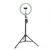 4smarts Selfie Tripod LED LoomiPod XL and Green Screen (35-173 cm) (black)