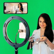 4smarts Selfie Tripod LED LoomiPod XL and Green Screen (35-173 cm) (black) 3