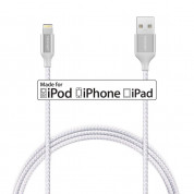 TeckNet P6100 Braided MFi Lightning to USB Cable (100 cm) (silver) 1