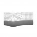 Macally Ergonomic Keyboard with Palm Rest US - жична ергономична клавиатура за Mac и PC (бял)  1