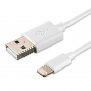 4smarts Basic Lightning Data Cable 100 cm - Lightning кабел (100 см) за iPhone, iPad и iPod с Lightning вход (бял) (bulk)