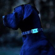 CaseMate Dog Collar Mount for Apple AirTag - силиконов държач за каишки за домашни любимци за Apple AirTag (бял) 6