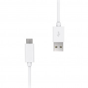Artwizz USB-A to USB-C Cable (25 cm) (white) 1