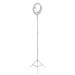 4smarts Selfie Ring Light LoomiPod Floor Lamp - LED лампа с трипод и държач за смартфони (95 - 200 см) (бял) 1