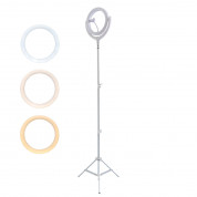 4smarts Selfie Ring Light LoomiPod Floor Lamp - LED лампа с трипод и държач за смартфони (95 - 200 см) (бял) 1