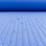 Wozinsky Gymnastic Non Slip Mat (blue) 12