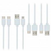 4smarts Basic Cable Set 25cm (4 Pieces) - комплект от кабели с USB-A, USB-C и Lightning конектори (4 броя) (25 см) (бял) 1