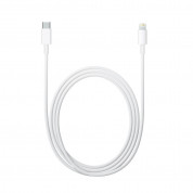Apple iPhone USB-C Charger and Cable Set (bulk) 7