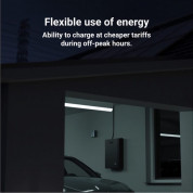 Green Cell PowerNest Energy Storage LiFePO4 Battery (5 kWh 51.2 V) (black) 7