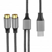 4smarts MatchCord Active USB-C Male to 2xRCA Female Adapter Cable (black) 1