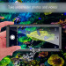 4smarts Rugged Case Active Pro STARK - ударо и водоустойчив кейс за Samsung Galaxy S22 (черен) 12