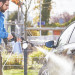 Hoto 20V Cordless High Pressure Washer - универсална безжична преносима помпа за вода за почистване на автомобил и други (сив) 3
