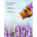 TaoTronics Aromatherapy Essential Oil Top 6 10ml - комплект ароматерапевтични етерични масла (6 броя) 5