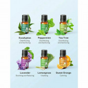 TaoTronics Aromatherapy Essential Oil Top 6 10ml - комплект ароматерапевтични етерични масла (6 броя) 6