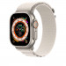 Apple Alpine Loop Small - оригинална текстилна каишка за Apple Watch Ultra 49мм (сив) 4
