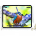 Hofi Paper Pro Plus Screen Protector - качествено защитно покритие (подходящо за рисуване) за дисплея на iPad 10 (2022) (2 броя)  2