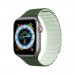 Dux Ducis Silicone Magnetic Strap (LD Version) - магнитна силиконова каишка за Apple Watch 42мм, 44мм, 45мм, Ultra 49мм (зелен) 1