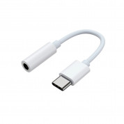 Samsung Alook USB-C to 3.5 mm Adapter GP-TGU022MV (white) (retail)