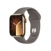 Apple Watch Series 9 Cellular, 41mm Gold Stainless Steel Case with Clay Sport Band S/M - умен часовник от Apple 