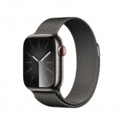 Apple Watch Series 9 Cellular, 41mm Graphite Stainless Steel Case with Silver Graphite Loop - умен часовник от Apple 