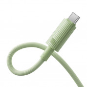 Baseus Habitat USB-C to USB-C Cable 100W - биоразградим USB кабел за устройства с USB-C порт (200 см) (зелен) 4