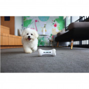 Cheerble Wickedbone Interactive Dog Toy (white) 5