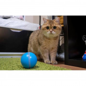 Cheerble W1 Interactive Pet Ball - интерактивна топка за домашни любимци (син) 4