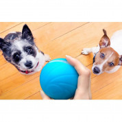Cheerble W1 Interactive Pet Ball (blue) 1
