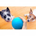 Cheerble W1 Interactive Pet Ball - интерактивна топка за домашни любимци (син) 2